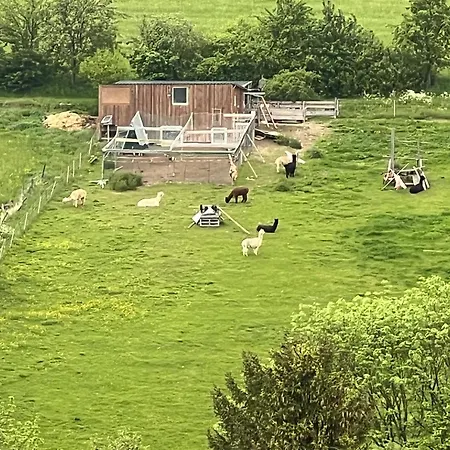 Apartament Gemuetliche 3-zimmer-wohnung Mit Panoramablick Und Kostenlosem Ueberdachten Parkplatz *