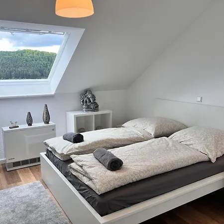 Gemuetliche 3-zimmer-wohnung Mit Panoramablick Und Kostenlosem Ueberdachten Parkplatz Apartment Winterberg