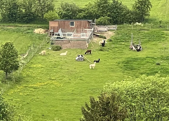 Apartamento Gemuetliche 3-zimmer-wohnung Mit Panoramablick Und Kostenlosem Ueberdachten Parkplatz *